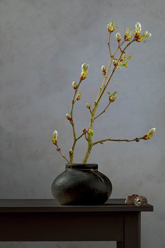 Stilleben 'Kastanie in Knospe'