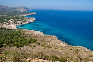 Blick auf das Meer an der Cala Mesquida auf Mallorca mit Bäumen und Büschen im Vordergrund