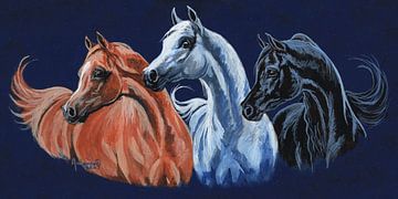tricolore Arabische paarden van Annemarie ten Hacken