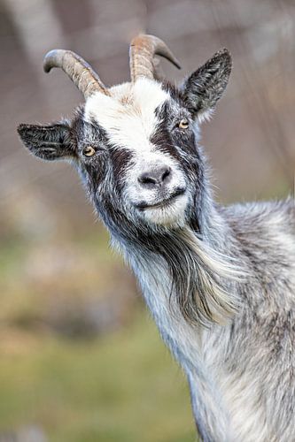 Keep on smiling