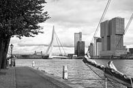 Zicht op de Wilhelminapier, Rotterdam (zwart-wit) van Rick Van der Poorten thumbnail