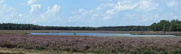 panorama van bloeiende heide met ven by Wim vd Neut