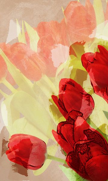 rote Tulpen by Dagmar Marina