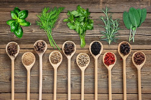 Keukenkruiden en specerijen in houten lepels
