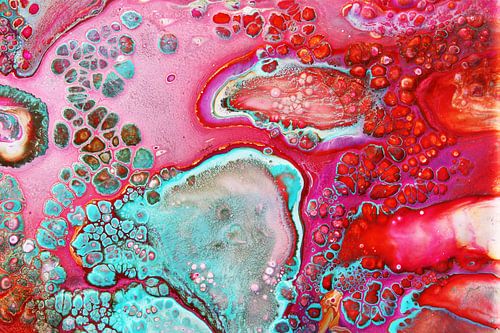 A dance of colour and contrast