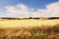La Mancha IV