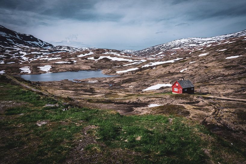 Rood huis in het landschap van Noorwegen van Jayzon Photo
