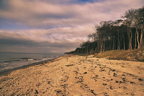 On the sandy beach of the Baltic Sea coast