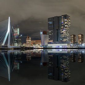 Rotterdam Skyline the upsidedown van Frank Herben