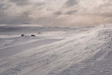 winter landschap met wind in noorwegen, scandinavie van Marije Baan