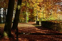 Magische Herbstfarben