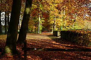 Magische Herbstfarben