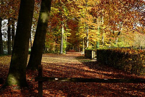 Magische herfstkleuren