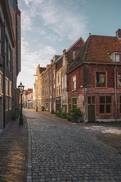 Nieuwstraat - Beschuitsteeg Leiden van Dirk van Egmond