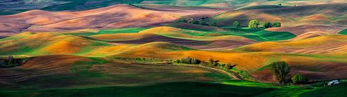 La Palouse sur Hua Zhu