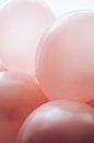 Rosige Luftballons, Anastasia Sawall von 1x Miniaturansicht