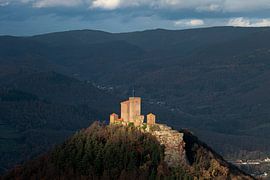 Pleins feux sur les Trifels de Reichsburg à Annweiler sur André Post