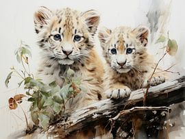 Leopard | Leoparden von Max Steinwald