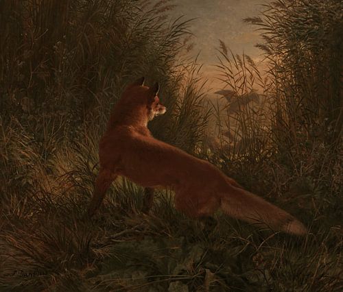Un renard - Siegwald Dahl