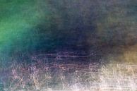 Flower field by Claudia Färber thumbnail
