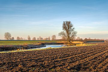 Malerische niederländische Polderlandschaft mit einem gepflügten Feld