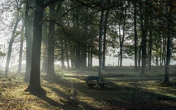 In de stille momenten van Mart Houtman
