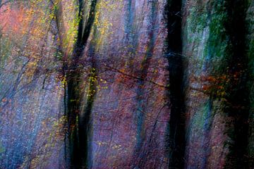 FORÊT FANTÔME 4 sur Miroslav Ptacek