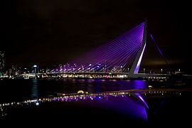 for the unborn child, erasmus bridge, rotterdam