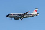 100 jaar British Airways: Airbus A319 in BEA livery. van Jaap van den Berg thumbnail