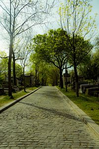 Een wandeling op Père-Lachaise Cemetery