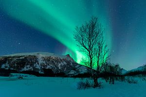 Nordlichter über den schneebedeckten  Gipfeln der Lofoten in Norwegen