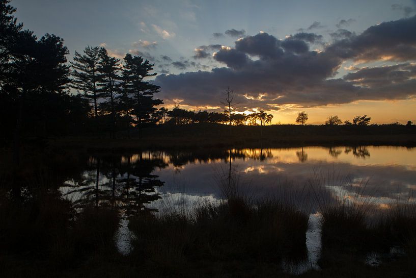 Haterse vennen: laatste licht von Tessa Louwerens
