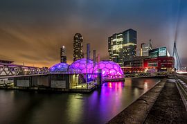 The pavilion van Bram Visser