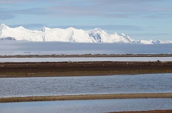 Einzigartige Landschaft.
