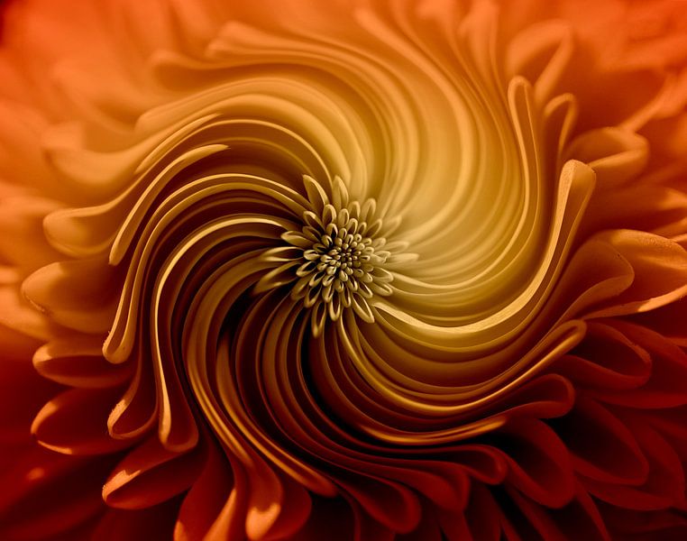 Flower Art by Hilde Remerie Photography and digital art
