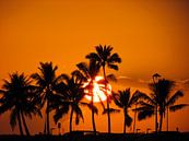 Waikiki Sunset by Sandra Frevel thumbnail