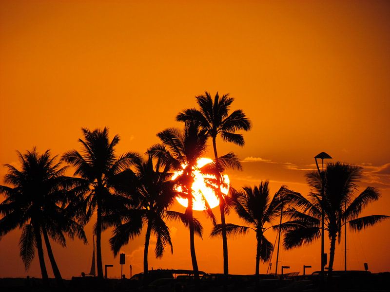 Waikiki Sunset by Sandra Frevel
