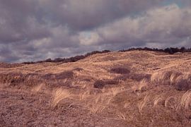 Cloudy day van Foto Studio Labie