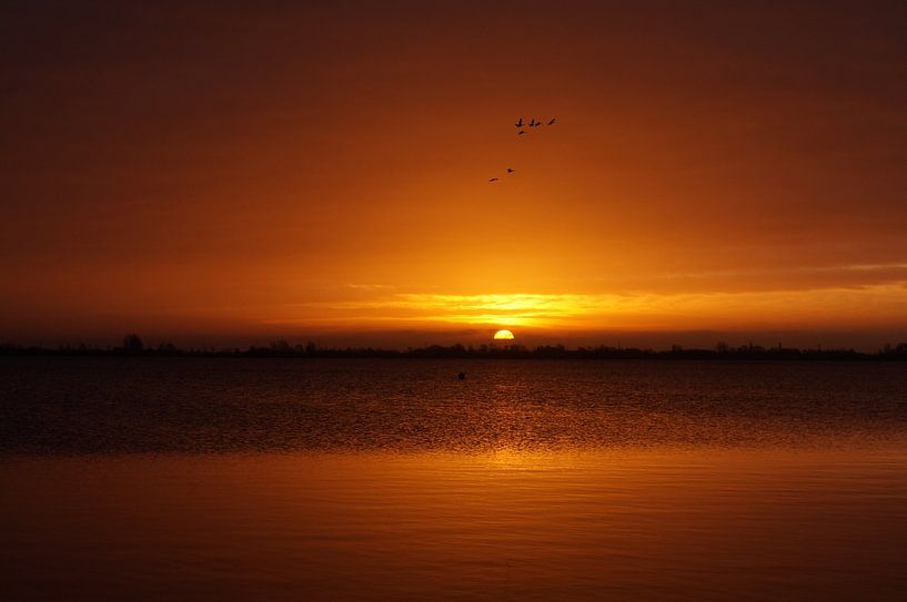 zonsopkomst van Madeltijntje
