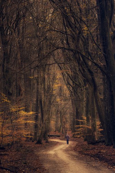 Autumn by Moetwil en van Dijk - Fotografie