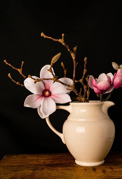 Dutch Magnolia by simone swart