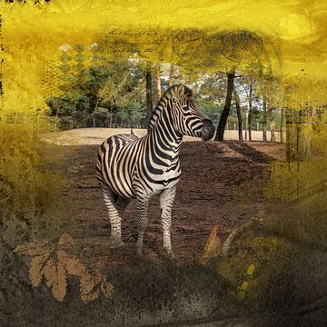 Zebra van Carla van Zomeren