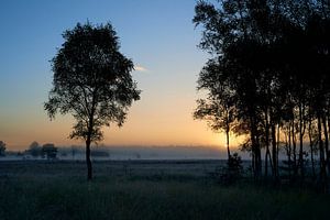 Sonnenaufgang auf der Noorderheide