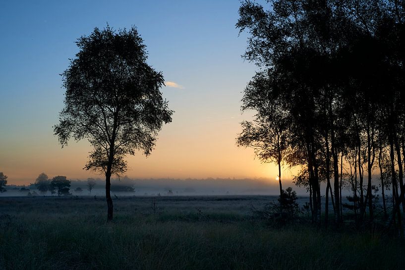 Zonsopkomst op de Noorderheide van Jenco van Zalk