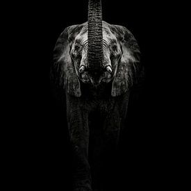 Imposanter Elefant in dunklen Tönen von Bob Daalder