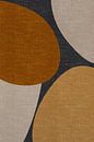 Moderne abstracte geometrische organische retrovormen in aardetinten: terra, geel, beige, grijs van Dina Dankers thumbnail