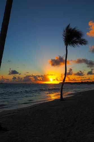 Caribische afbeeldingen behoren tot de populairste motieven voor muurschilderingen en fine art prints. De regio inspireert met zijn kristalheldere water, witte stranden, unieke kleuren en tropische natuur.