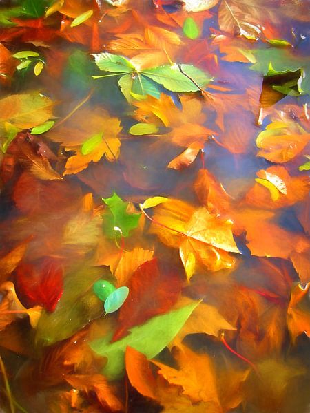 Repos d'automne par Henk Egbertzen