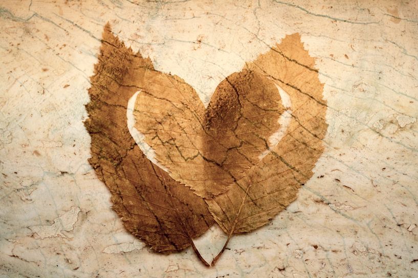 Heart of two leaves in warm nature tones by Lisette Rijkers