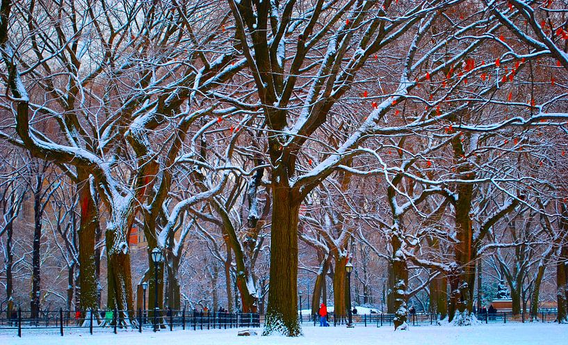 New York's Central Park na een flinke sneeuwbui van Koen Hoekemeijer